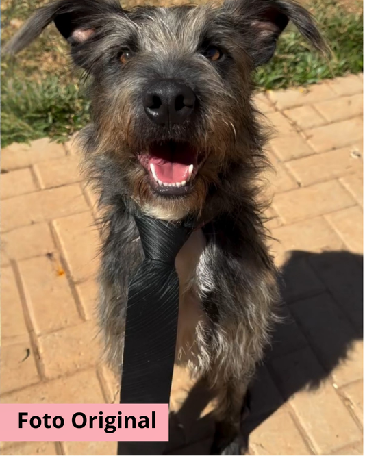 Arte Digital Personalizada do Seu Pet