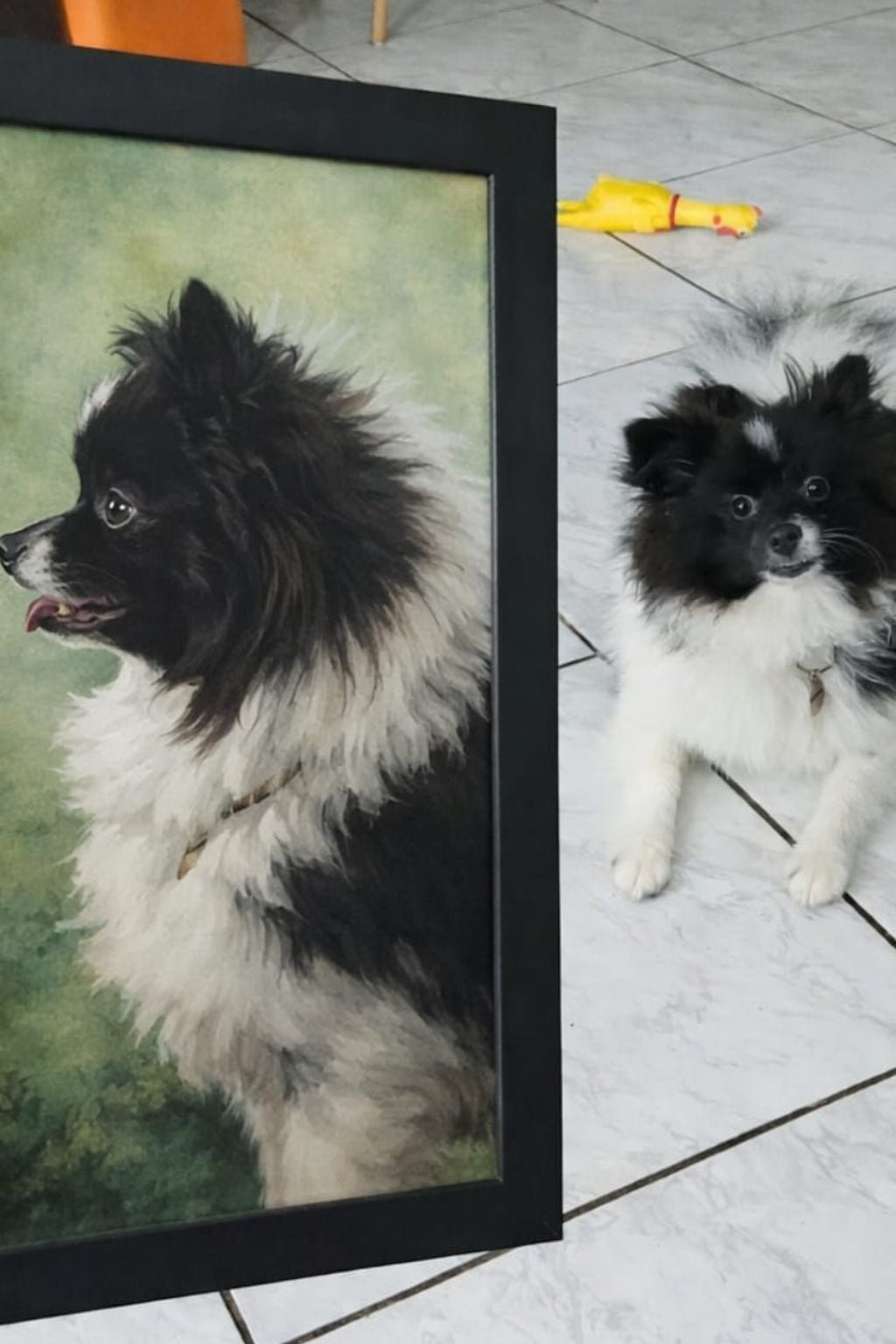 Arte Personalizada do Seu Pet